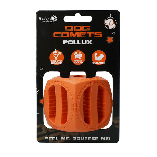 Dog Comets Pollux - Oranje
