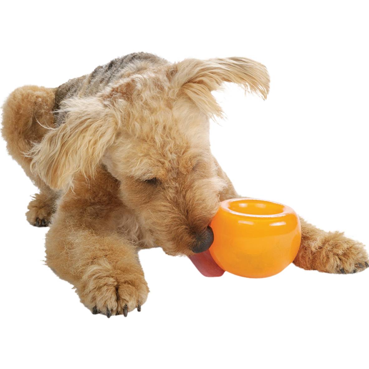 Planet Dog ORBEE-TUFF Snoop (oranje)
