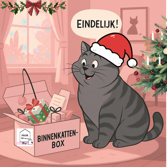 Eenmalige kerst-Binnenkattenbox (pre-order)