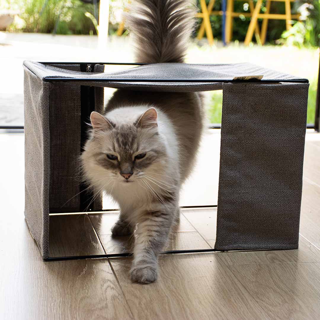 Odillia Multifunctionele hangmat