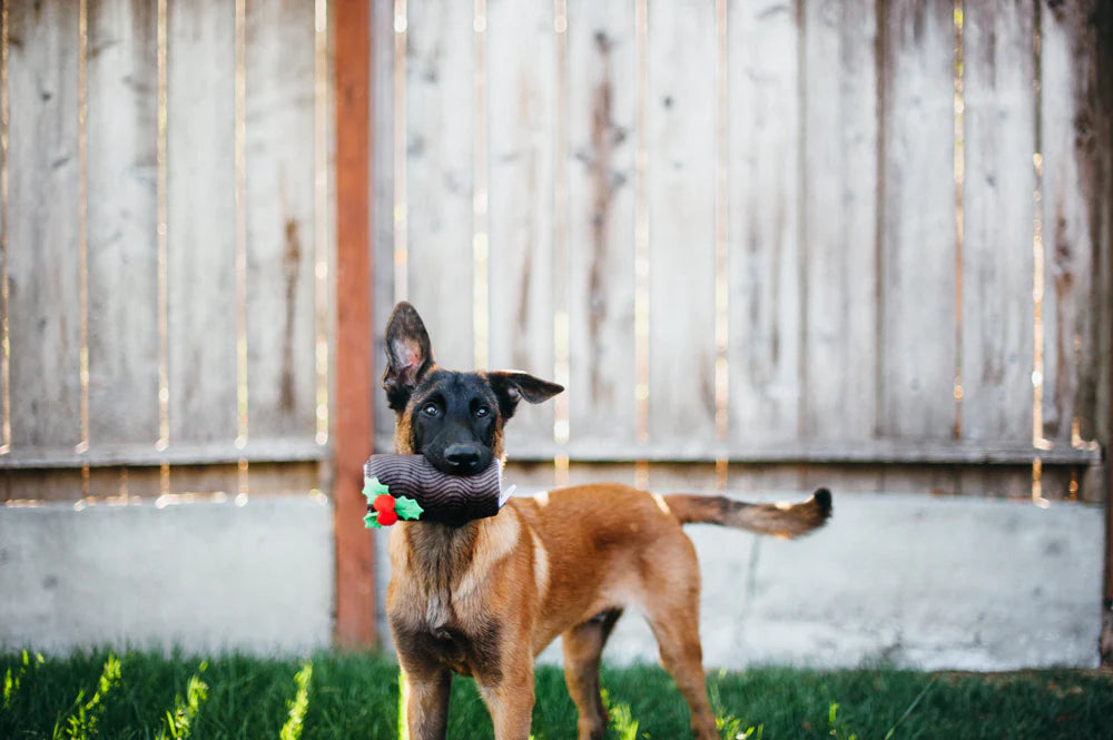 Holiday Classic - Kerststronk