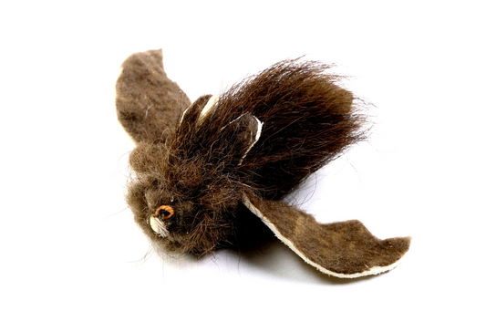 Vleermuis