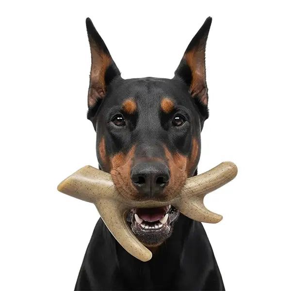SodaPup Ever Antler Nylon