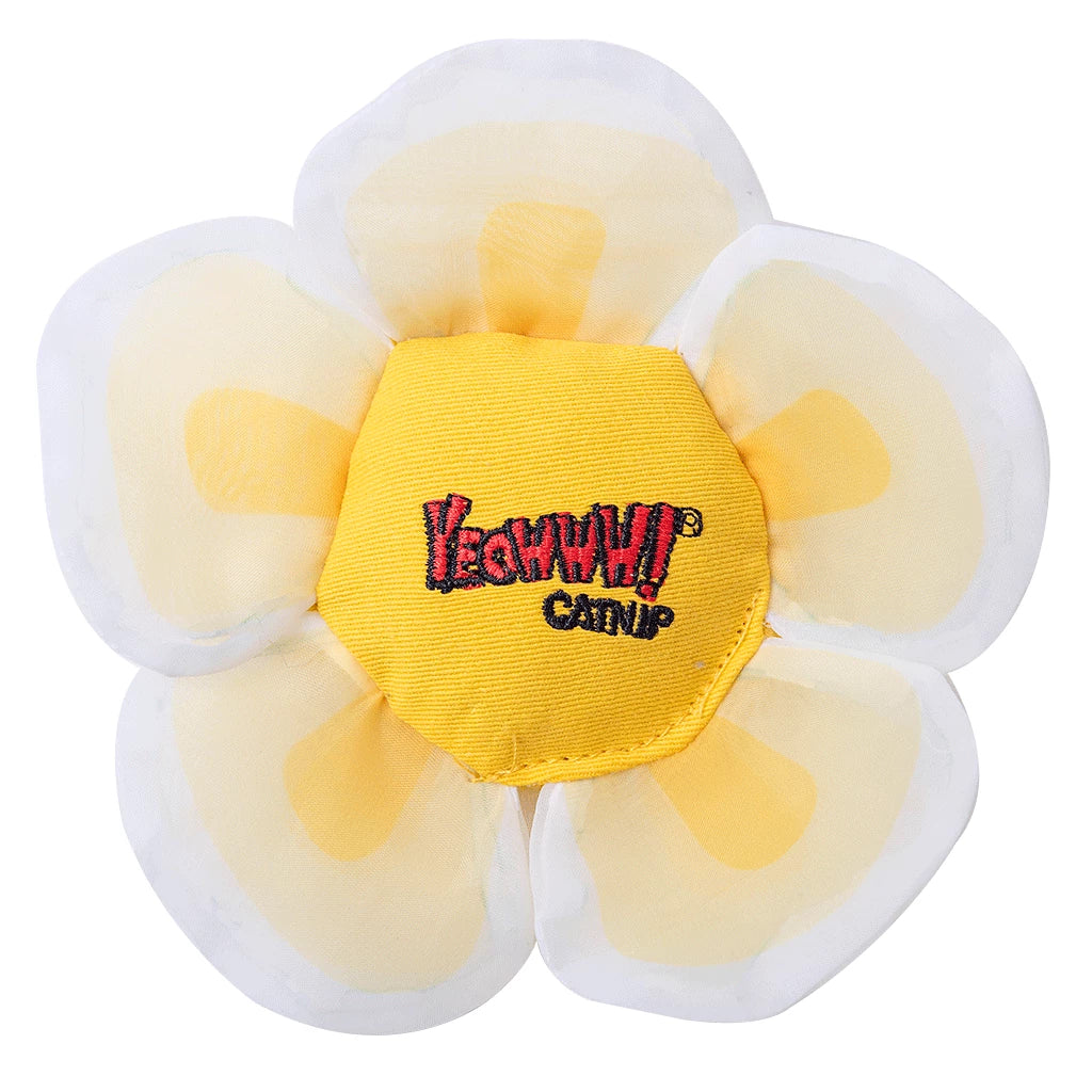 Yeowww! Daisy's Flower tops wit