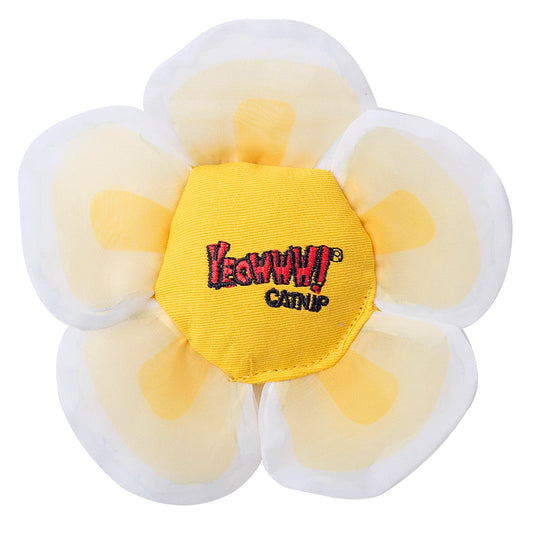 Yeowww! Daisy's Flower tops wit