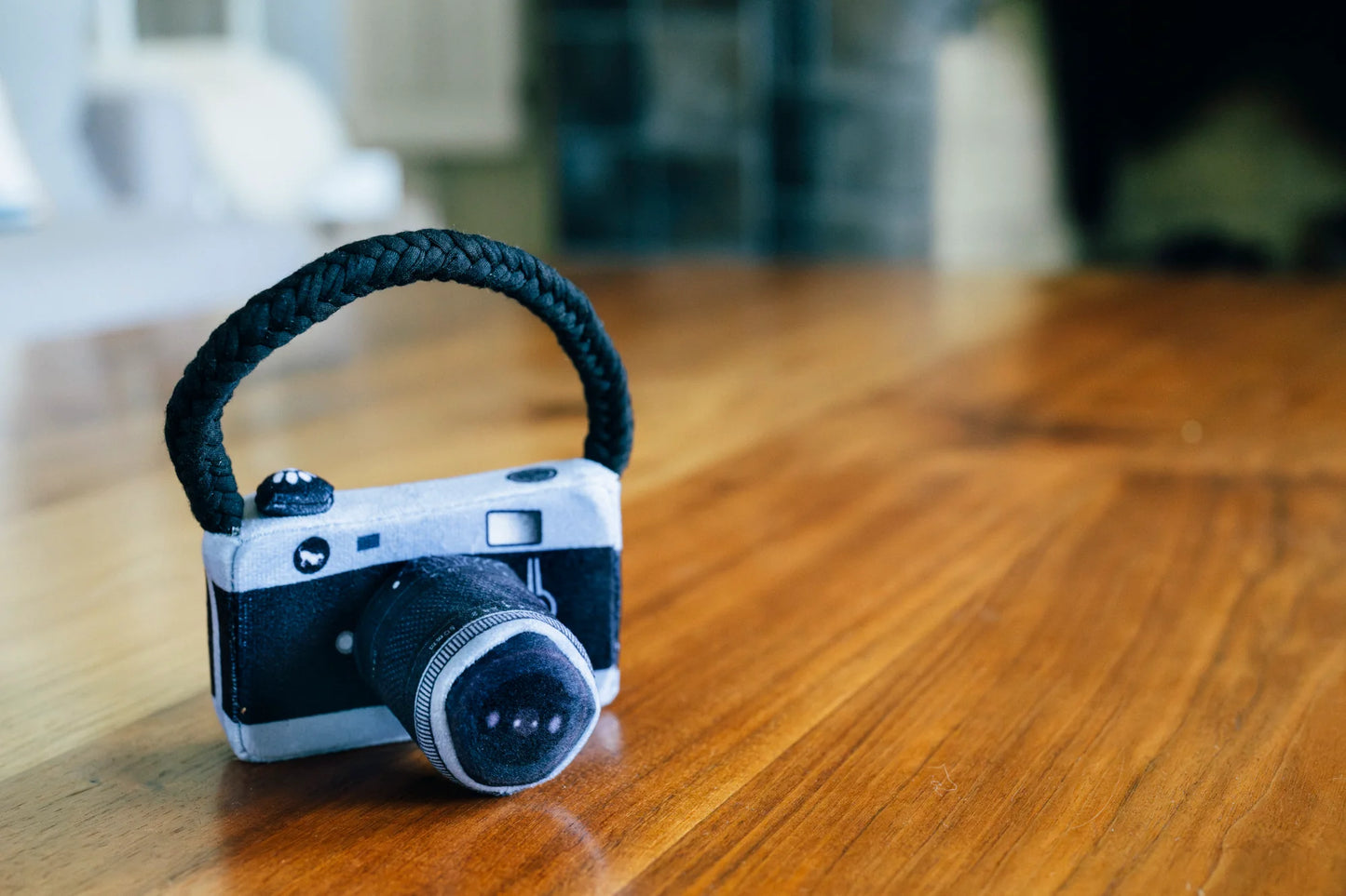 Globetrotter camera