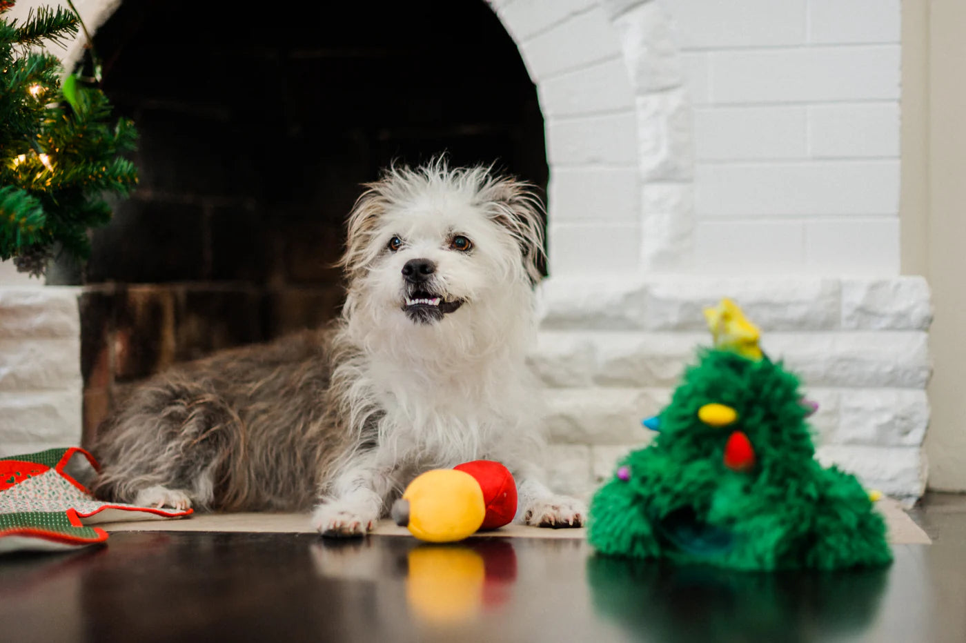 Merry Woofmas - Doglas Fur