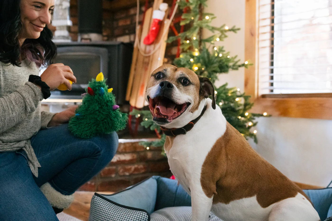 Merry Woofmas - Doglas Fur